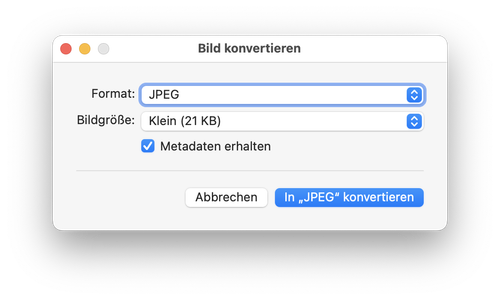 “Convert image” dialog with the selection of the format and image size. Screenshot